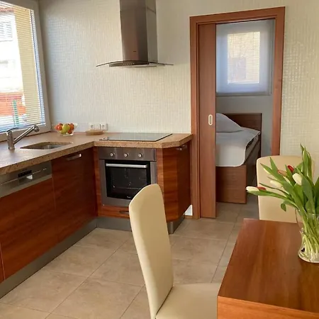 Apartman Emilie - Blizko Vysocina Areny * Nove Mesto na Morave